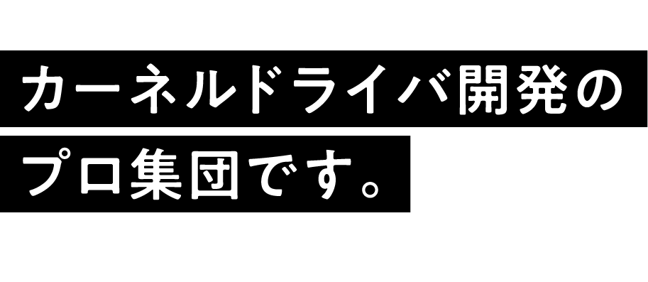 私たちは、カーネルドライバ開発のプロ集団です。